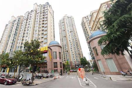 客厅放什么花草